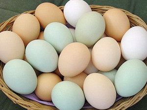 яйца с низким содержанием холестерина
